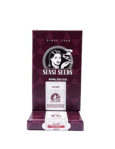 JACK HERER FEMI SENSI SEEDS SENSI SEEDS