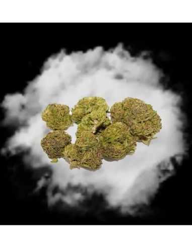 Comprar FLORES CBD DREAD MUFFY + PAPEL TIPS BANDEJA CANNABIS INNOVATION