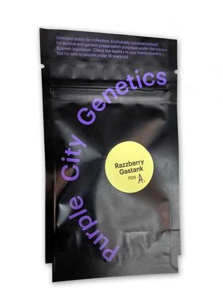 RAZZBERRY GASTANK PCG AUTO PURPLE GENETICS
