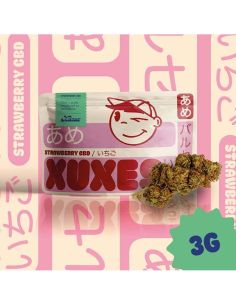 Comprar STRAWBERRY CBD XUXES 3GR XUXES