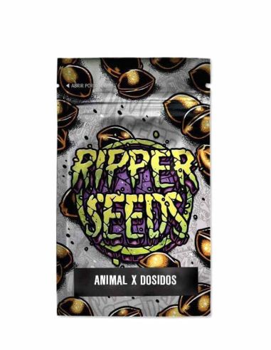 ANIMAL COOKIES X DOS-SI-DOS RIPPER SEEDS