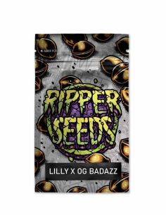 LILLY X OG BADAZZ RIPPER 3UD RIPPER SEEDS