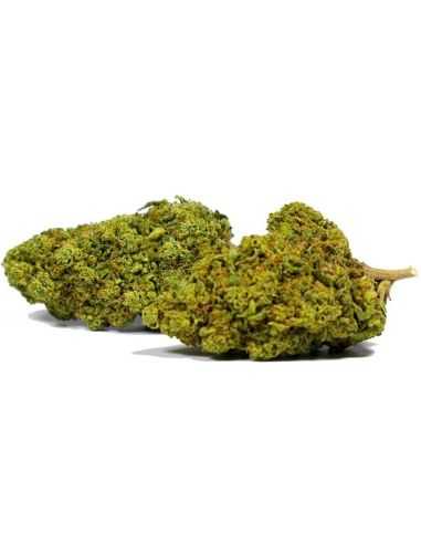 Comprar FLORES CBD BUBBLE GUM BEE PRODUCTS CBD