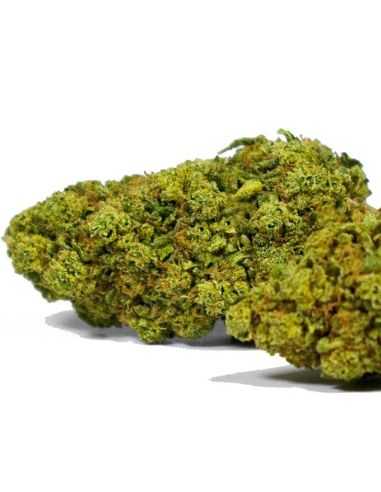 Comprar FLORES CBD BUBBLE GUM BEE PRODUCTS CBD