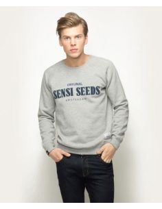 Comprar TERRY CREW NECK HEATHER GRIS SENSI SEEDS