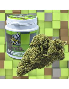 Comprar FLORES CBDS CRITICAL BEE PRODUCTS BEE PRODUCTS CBD