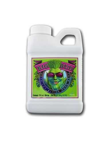 BIG BUD EST. FLORACIÓN
