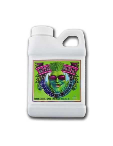 BIG BUD EST. FLORACIÓN BIG BUD EST. FLORACIÓN