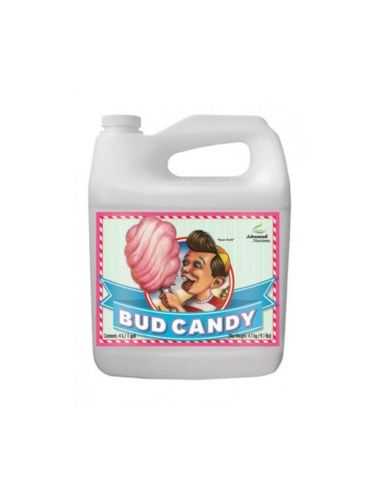 BUD CANDY