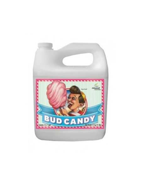 BUD CANDY