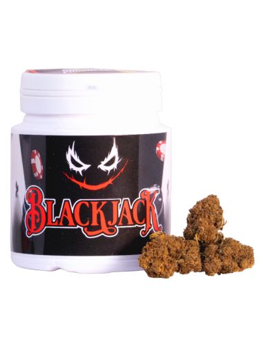 FLORES CBD BLACK JACK BEE PRODUCTS