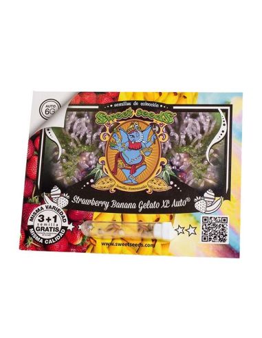 AUTO STRAWBERRY BANANA GELATO XL SWEET SEEDS SWEET SEEDS