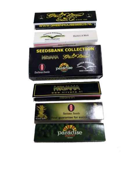 Comprar AMSTERDAM COFFEE SHOP PAPERS PACK SNAIL