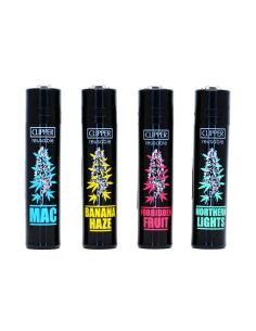 Comprar CLIPPER COLECCION PLANTZ 7 CLIPPER