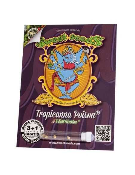 TROPICANA POISON FAST VERSION SWEET SEEDS SWEET SEEDS