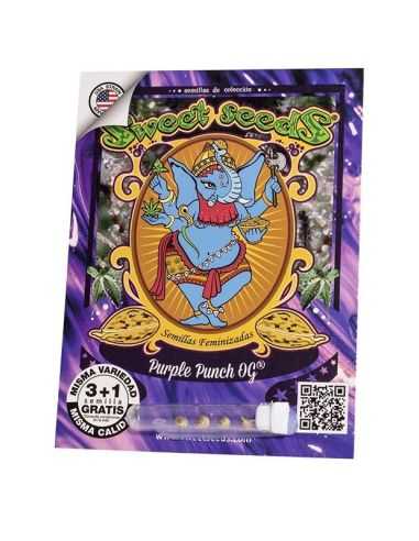 PURPLE PUNCH OG FEMINIZADA SWEET 3+1 SWEET SEEDS