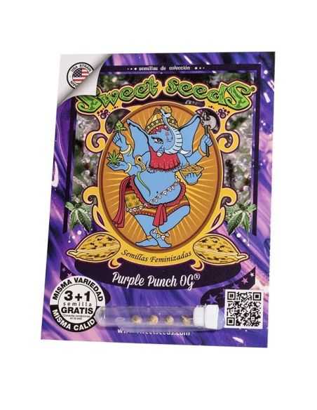 PURPLE PUNCH OG FEMINIZADA SWEET 3+1 SWEET SEEDS