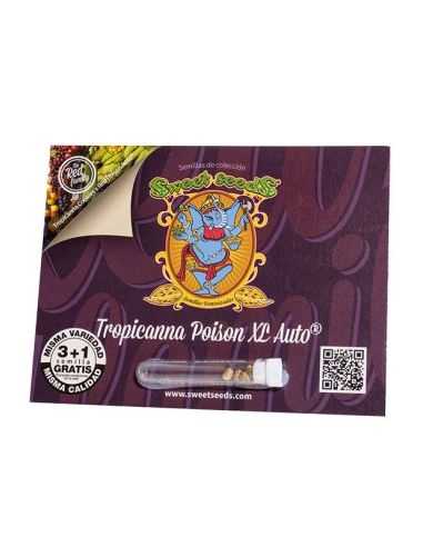 Comprar TROPICANA POISON XL AUTO 3+1 SWEET SEEDS