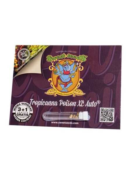 Comprar TROPICANA POISON XL AUTO 3+1 SWEET SEEDS