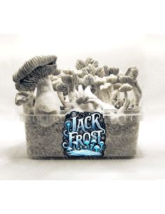 GROW KIT JACK FROST