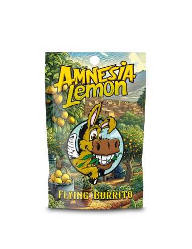 Comprar CBD HASH FLYING BURRITO AMNESIA LEMON NATURAL SUIT