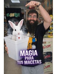 SELECCION DE SEMILLAS EL BARBA420