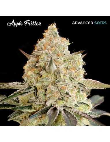 ADVANCED SEEDS PACK