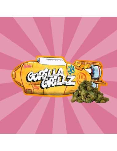 Comprar SMALL BUDS CBD GORILLA GRILLZ GORILLA GRILLZ