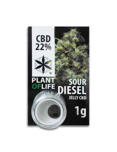 CBD SOLIDO JELLY SOUR DIESEL 22% PLANT OF LIFE