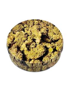 Comprar CLICK CLACK BUDS 2