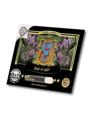 JACK 47 AUTO SWEET SEEDS