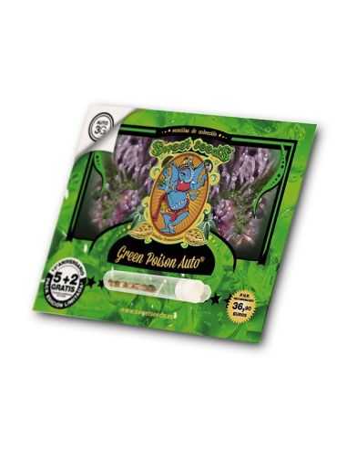 GREEN POISON AUTO SWEED SWEET SEEDS