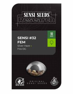 MANDARINE PUNCH AUTO SENSI SEEDS SENSI SEEDS