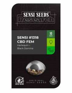 SENSI 1318 CBD RESEARCH