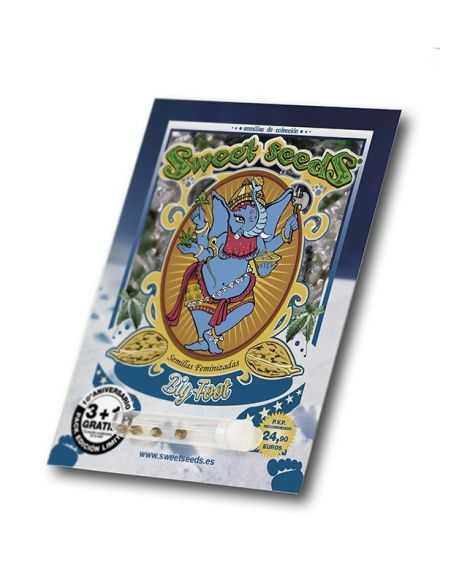 BIG FOOT SWEET SEEDS