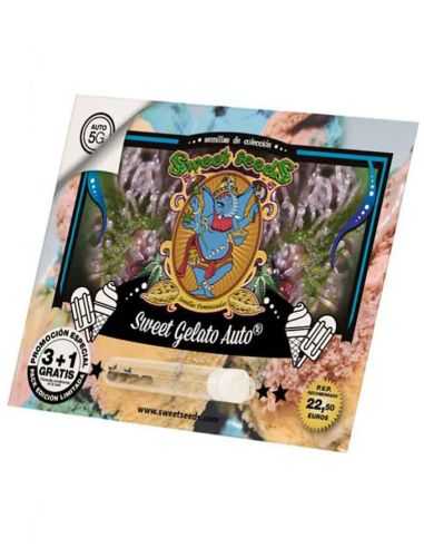 SWEET GELATO AUTO SWEET SEEDS