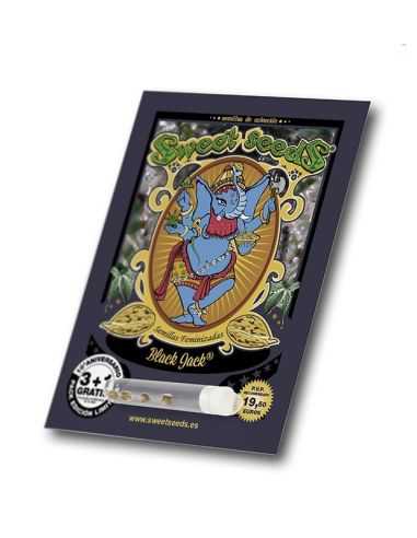 BLACK JACK FEMI SWEET SWEET SEEDS