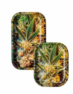 Comprar BANDEJA DE LIAR BUDS V SYNDICATE