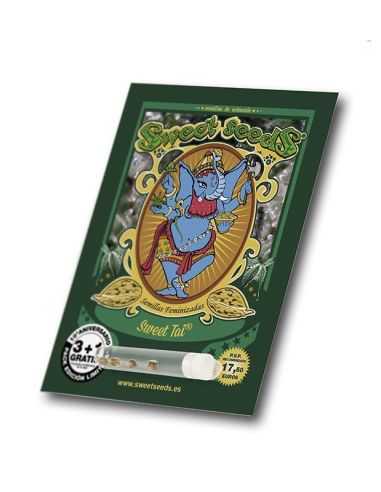 Sweet Tai es el cruce de Súper Tai con una Early Skunk.