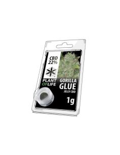 Comprar SOLID CBD GORILLA GLUE 22% PLANT OF LIFE