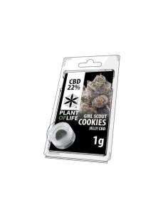 Comprar SOLID CBD GIRL SCOUT COOKIES 22% PLANT OF LIFE