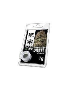 Comprar SOLID CBD STRAWBERRY DIESEL 22% PLANT OF LIFE