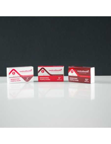 MENDOCINO PURPLE KUSH MEDICAL MEDICAL SEEDS MENDOCINO PURPLE KUSH MEDICAL MEDICAL SEEDS