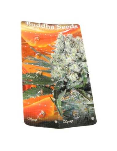 SYRUP AUTO BUDDHA BUDDHA SEEDS