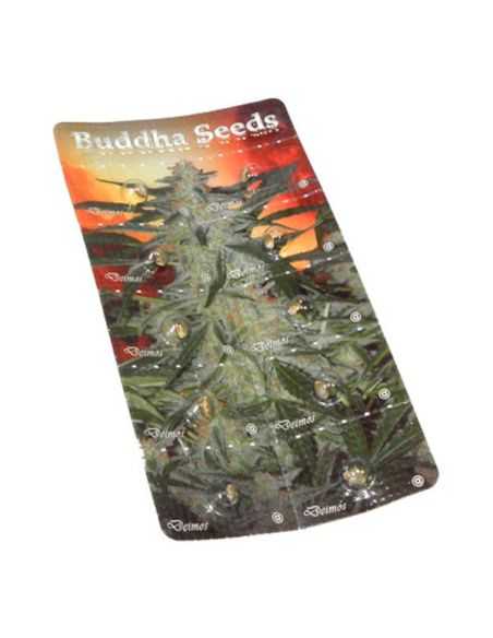 DEIMOS AUTO BUDDHA BUDDHA SEEDS