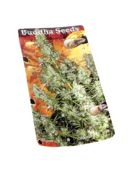 MAGNUM AUTO BUDDHA BUDDHA SEEDS
