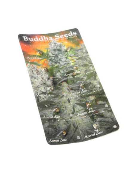 ASSORTED AUTO BUDDHA BUDDHA SEEDS
