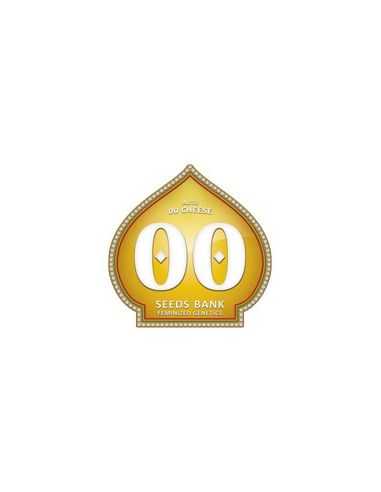 AUTO 00 CHEESE 00 SEEDS