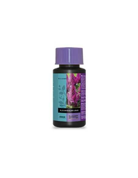 BLOSSOM BUILDER ATAMI