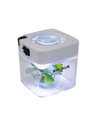 Comprar SMOKUS FOCUS COMET SMOKUS FOCUS